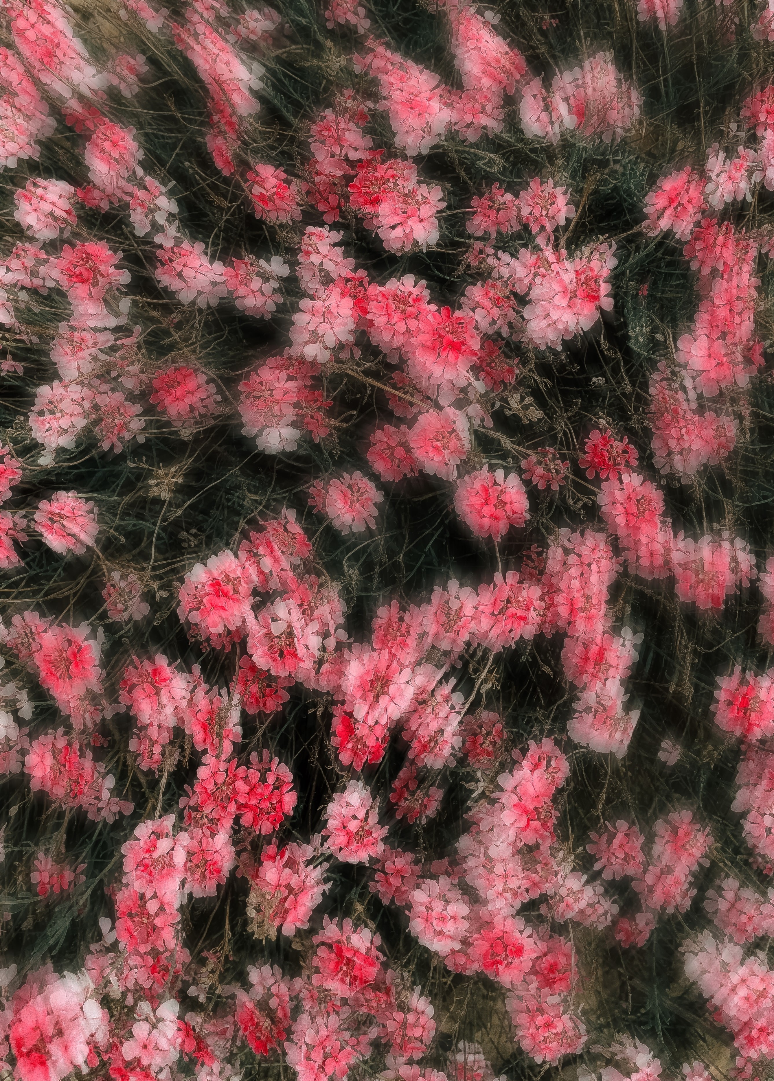 Photo by Marlin Ben, used as cover art for his music and for artist Holem.