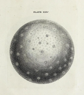 “A Representation of the Convexity, if I may call it so, of the intire Creation, as a universal Coalition of all the Stars consphered round one general Center, and as all governed by one and the same Law”.