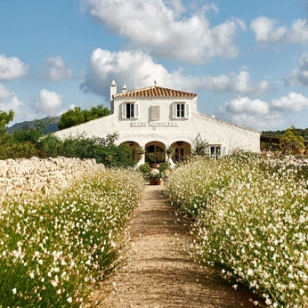 A cover of "where the love is" cluster. The owner is brookeg. The cluster description is "hostess with the mostess". The cluster consists of 180 elements.