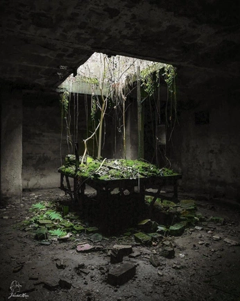 A cover of "Cubital Kingdom [novel]" cluster. The owner is michaelwave. The cluster consists of 9 elements.