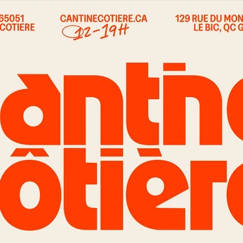 A cover of "TYPE" cluster. The owner is mimilunde. The cluster consists of 27 elements.