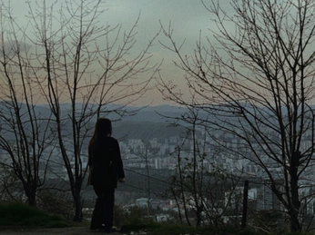 A cover of "secuencias" cluster. The owner is 0000000. The cluster consists of 14 elements.