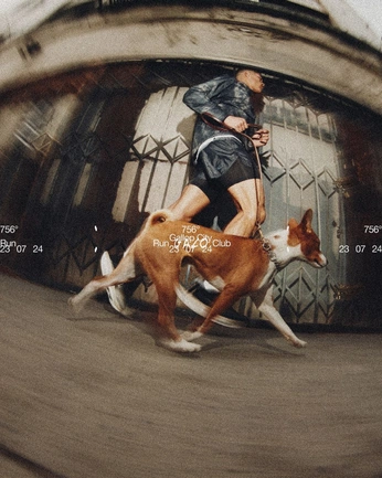 A cover of "ACO" cluster. The owner is luludel. The cluster consists of 6 elements.