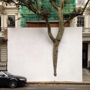 A cover of "BILLBOARD" cluster. The owner is unkwn2u. The cluster consists of 1 element.