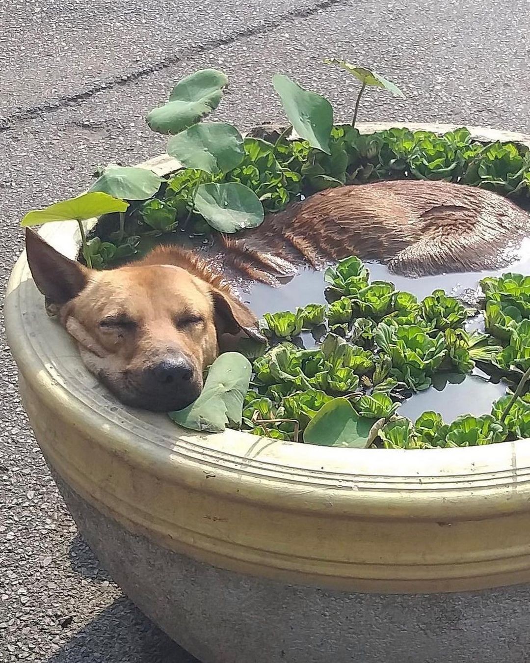 An Instagram carousel post added by colindancel on Jul 27, 2023. The author is @saint.