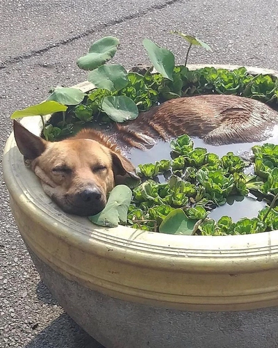 An Instagram carousel post added by colindancel on Jul 27, 2023. The author is @saint.