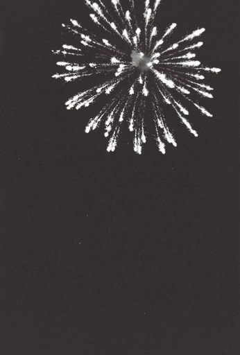 A cover of "8 - New Years reverie" cluster. The owner is ationstudio. The cluster consists of 31 elements.