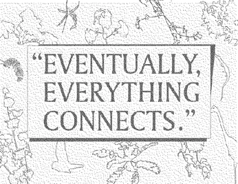 A cover of "Words" cluster. The owner is timcollins. The cluster consists of 1 element.