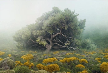 A cover of "Outside" cluster. The owner is designbyparts. The cluster consists of 2 elements.