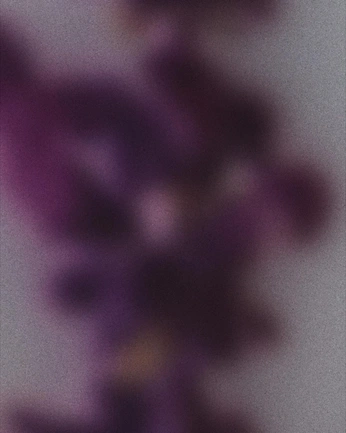 A cover of "violettt" cluster. The owner is pinkmango. The cluster consists of 1 element.