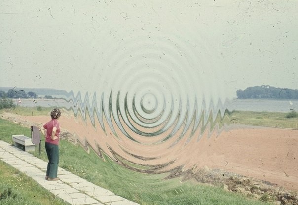 An image added by cosmos on Feb 09, 2022. May present: plant, grass, sky, water, art.