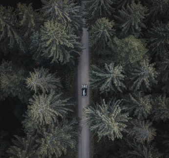 A cover of "porofow studio" cluster. The owner is creamador. The cluster consists of 75 elements.