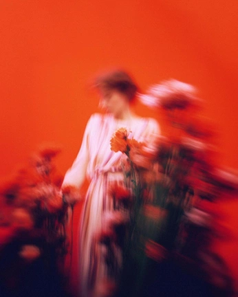 A cover of "Aries" cluster. The owner is more.venus. The cluster consists of 16 elements.