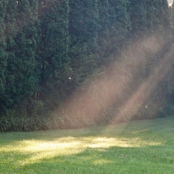 A cover of "Everything" cluster. The owner is crescentmooon. The cluster consists of 218 elements.