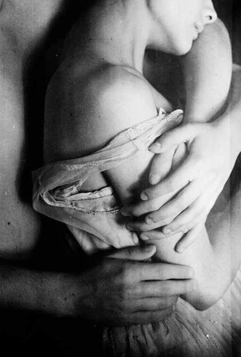 A cover of "intima" cluster. The owner is sedentaria. The cluster consists of 14 elements.