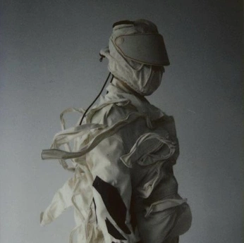 A cover of "FIT [s] ©" cluster. The owner is nirmata. The cluster consists of 425 elements.