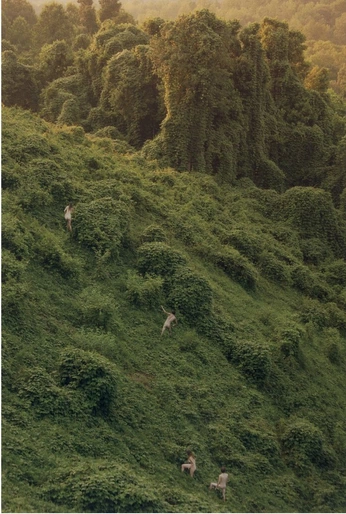 A cover of "Nature" cluster. The owner is ciaravesely. The cluster consists of 14 elements.