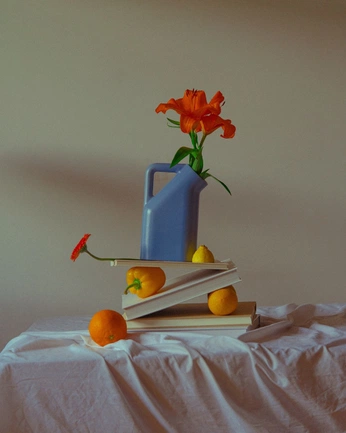 A cover of "Fotografika_04" cluster. The owner is zuzax. The cluster consists of 19 elements.