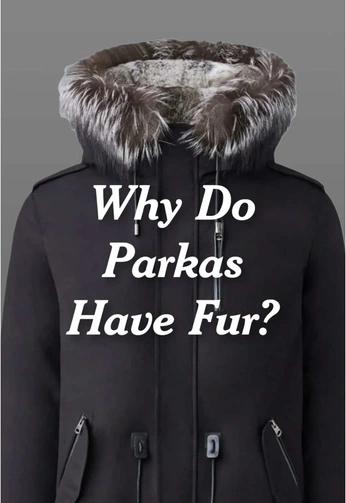 A cover of "Research" cluster. The owner is notian. The cluster consists of 10 elements.