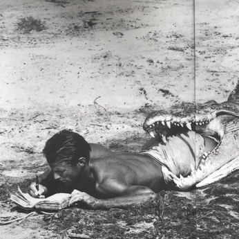 A cover of "ADTR" cluster. The owner is sawyerskipper. The cluster consists of 3 elements.