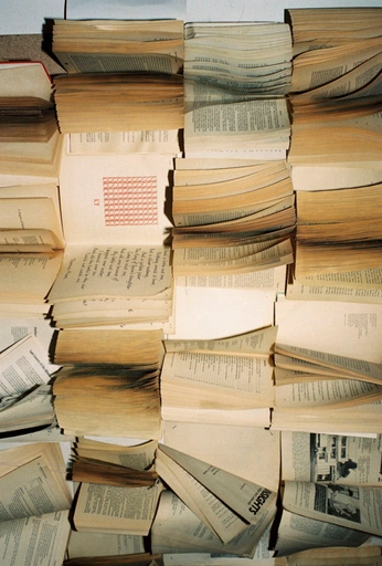 A cover of "Books" cluster. The owner is gledo. The cluster consists of 4 elements.