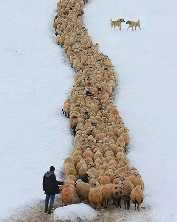 A cover of "Doc" cluster. The owner is awonazabal. The cluster consists of 12 elements.