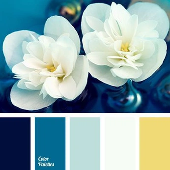 A cover of "Color pallettes" cluster. The owner is keithladgraphix. The cluster consists of 5 elements.