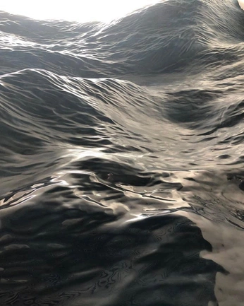 A cover of "水" cluster. The owner is feclown. The cluster consists of 7 elements.