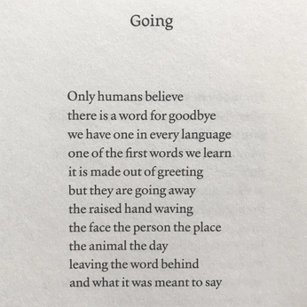 A cover of "quotes" cluster. The owner is roseto. The cluster consists of 1 element.