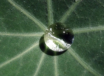 A cover of "mysti" cluster. The owner is sampamovement. The cluster consists of 18 elements.