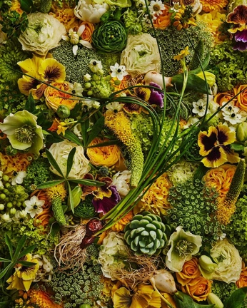 A cover of "Gardens Floral" cluster. The owner is jmemare. The cluster consists of 3 elements.