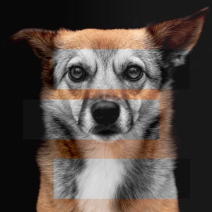 Luca Macchioni avatar