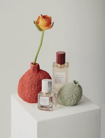 A cover of "Aromate" cluster. The owner is wyliam. The cluster consists of 46 elements.