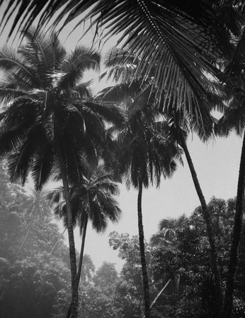 A cover of "<3" cluster. The owner is pln19. The cluster consists of 11 elements.