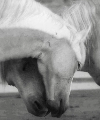 A cover of "Cosmic Ritual" cluster. The owner is wiichamps. The cluster consists of 8 elements.