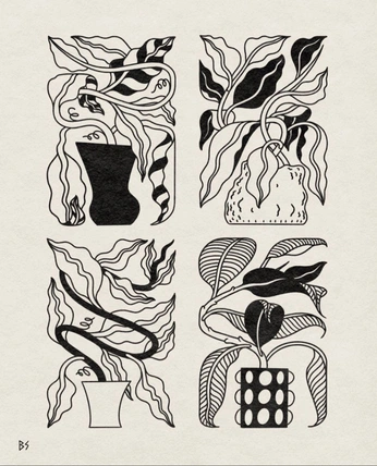 A cover of "Illustration" cluster. The owner is saggiemilva. The cluster consists of 5 elements.