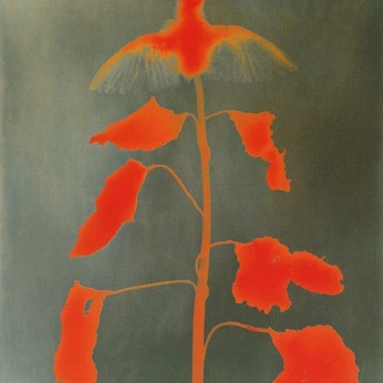 A cover of "Color combos" cluster. The owner is touchmytoes. The cluster description is "Color combinations, color inspiration, color, colors!". The cluster consists of 37 elements.