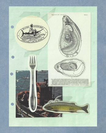 A cover of "contessa" cluster. The owner is maggiemeister. The cluster consists of 17 elements.