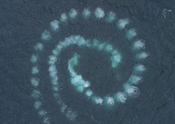 A cover of "Nautical" cluster. The owner is leiten. The cluster consists of 19 elements.