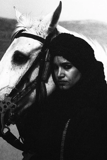 A cover of "Persons" cluster. The owner is bdoug. The cluster consists of 1 element.