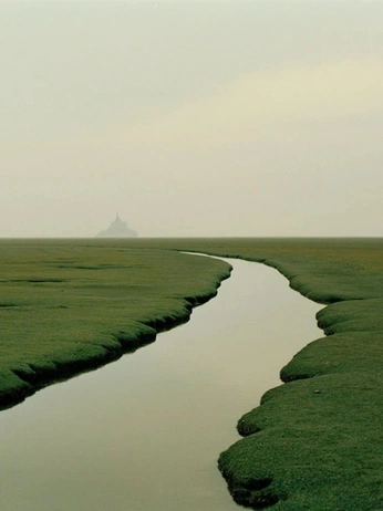 A cover of "Full Moon" cluster. The owner is moonpositions. The cluster consists of 2 elements.