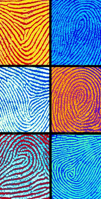 A cover of "Corporate Video Inspo" cluster. The owner is seeread. The cluster consists of 81 elements.