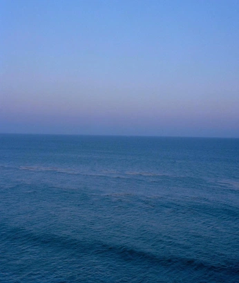 A cover of "🪸" cluster. The owner is louisaa. The cluster consists of 9 elements.