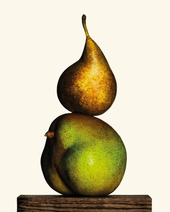 A cover of "Loewe" cluster. The owner is futurdust. The cluster consists of 91 elements.