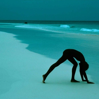 A cover of "METALLIC" cluster. The owner is eleanoramari. The cluster consists of 19 elements.