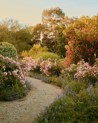 A cover of "botanical/garden" cluster. The owner is suzco. The cluster consists of 7 elements.
