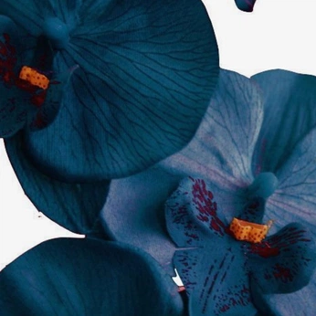 A cover of "SELF HELP" cluster. The owner is 666abigail. The cluster consists of 72 elements.