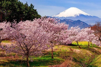 A cover of "beautiful destinations" cluster. The owner is besa. The cluster consists of 38 elements.