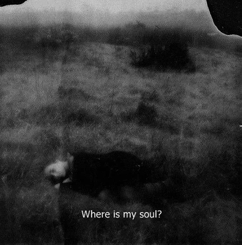 A cover of "Cinematogrphy" cluster. The owner is vigor40. The cluster consists of 6 elements.