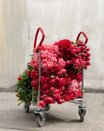 A cover of "Florals" cluster. The owner is esygdesign. The cluster consists of 6 elements.